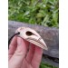 Viking Raven skull amulet with Aegishjalmur symbol or Helm of Awe. Norse, pagan jewelry. God Odin's raven. The Allfather - hand-carved