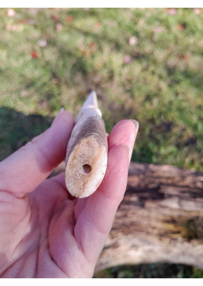 Knife handle "Raven". Raven head with Algiz rune.