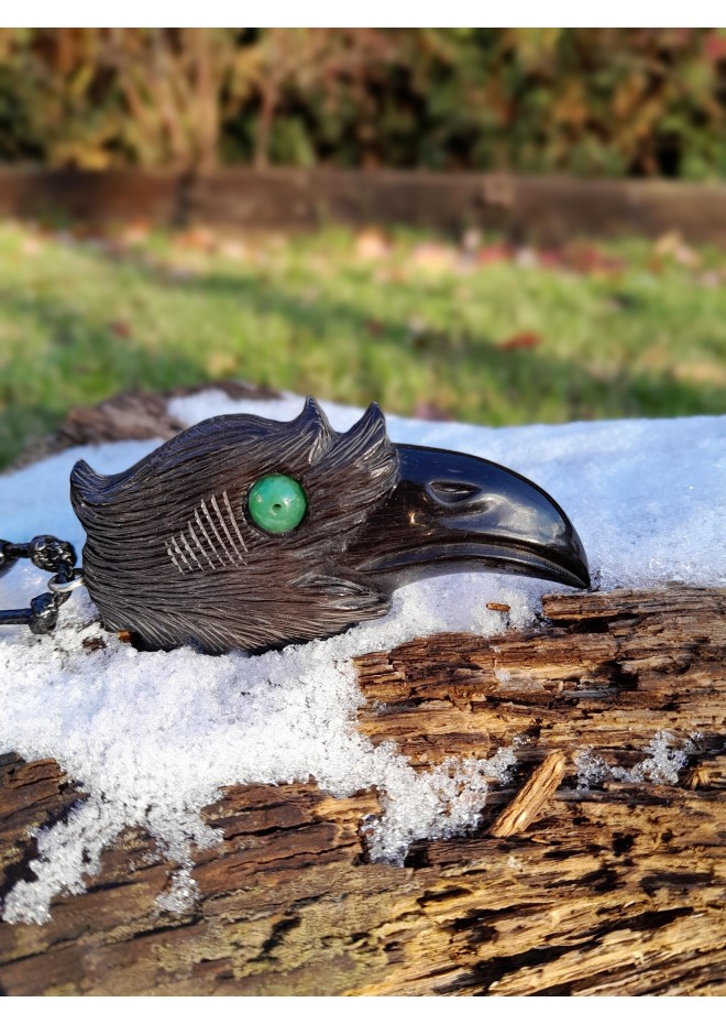 Norse black raven jewelry with Algiz rune.