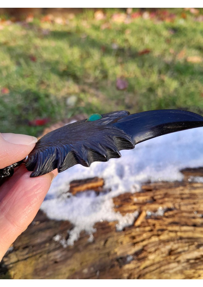 Norse black raven jewelry with Algiz rune.