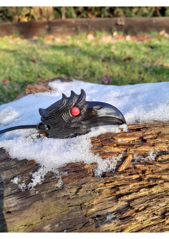 Scandinavian amulet: black raven with red eye and Algiz rune