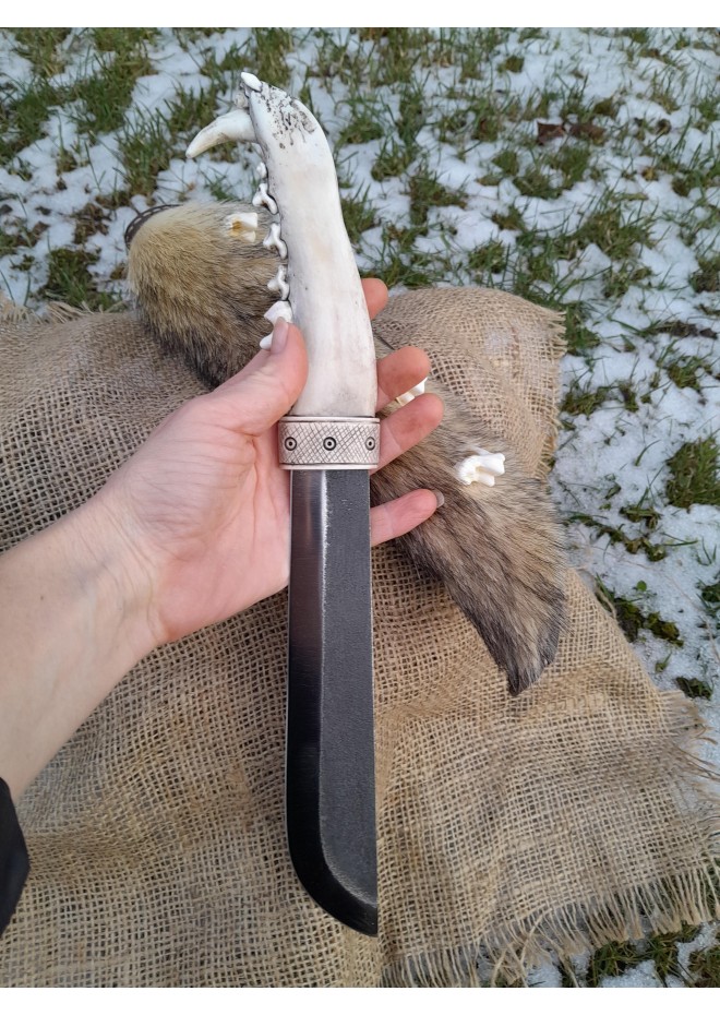 Nordic hunting knife with jaw bone handle & unique sheath