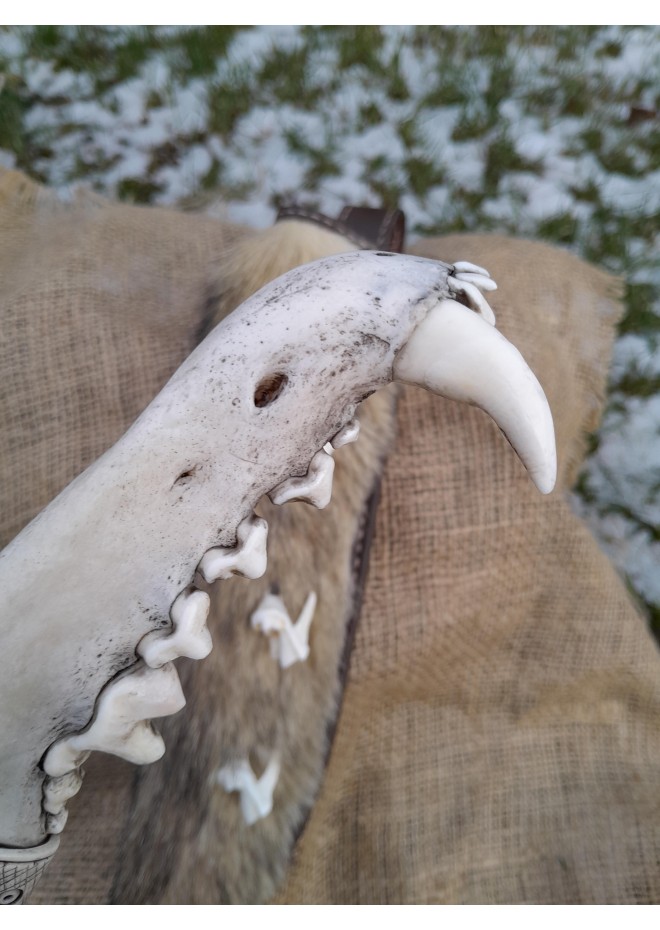 Nordic hunting knife with jaw bone handle & unique sheath