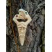 Odin head amulet with Raven & Dragon. Moose antler carving