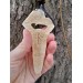 Odin head amulet with Raven & Dragon. Moose antler carving