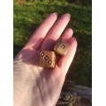 Handmade bone dice.