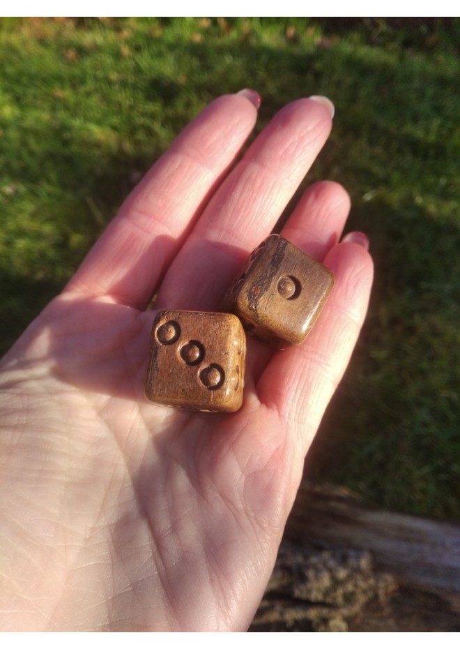 Handmade bone dice.