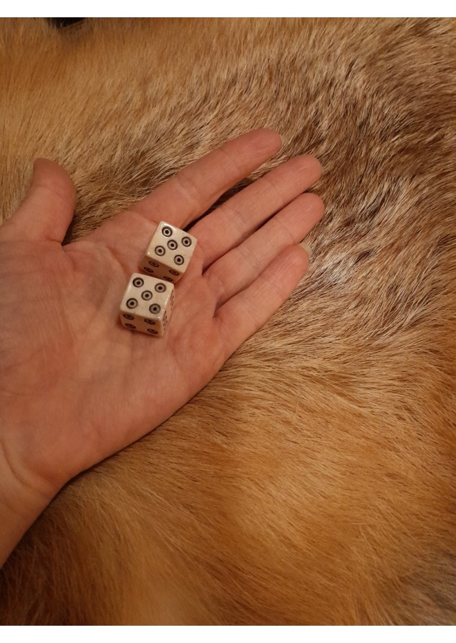 Handmade bone dice.