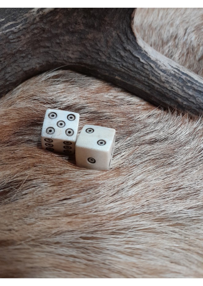 Handmade bone dice.