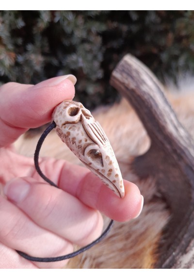 Unique Raven skull witch amulet with carved human skull. Gothic necklace. Shamanic pendant. Antler hand-carved