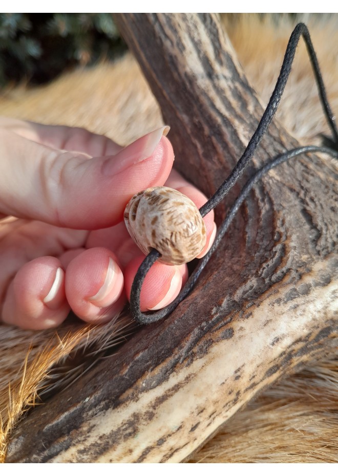 Unique Witch amulet. Raven skull with carved human skull. Gothic gift. Pagan, Witchy necklace. Wicca pendant. Shaman’s necklace. Crow skull