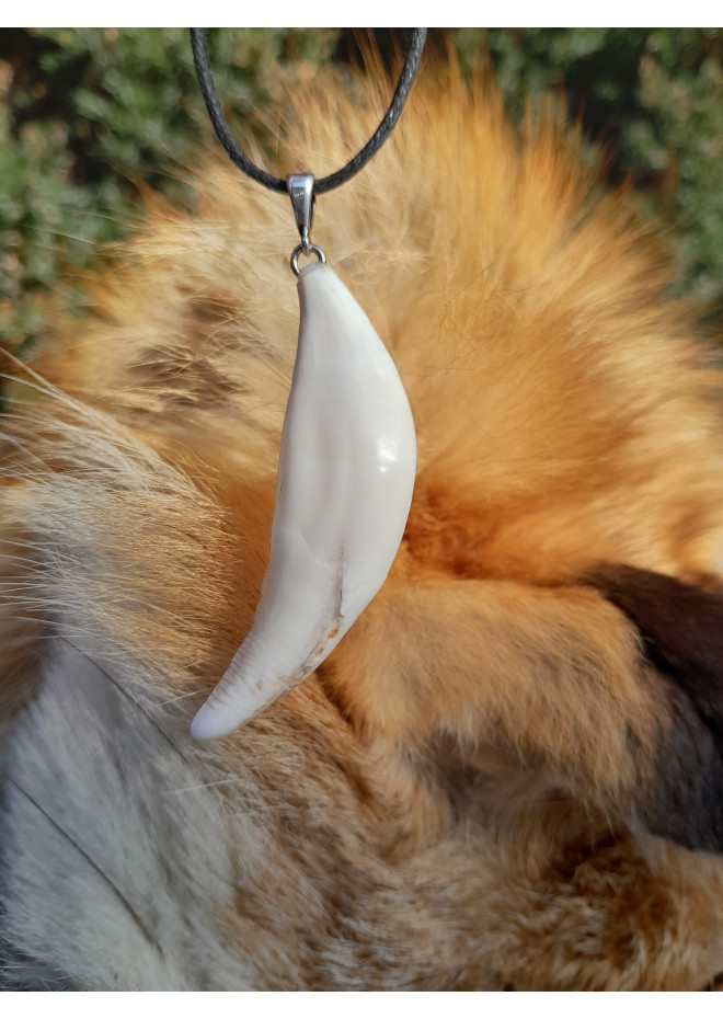 Large wolf tooth amulet. Wolf fang. Nordic, Pagan totemic pendant. Berserker warrior talisman. Viking symbol