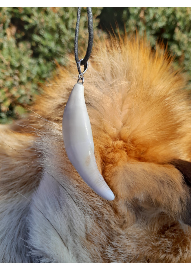 Large wolf tooth amulet. Wolf fang. Nordic, Pagan totemic pendant. Berserker warrior talisman. Viking symbol