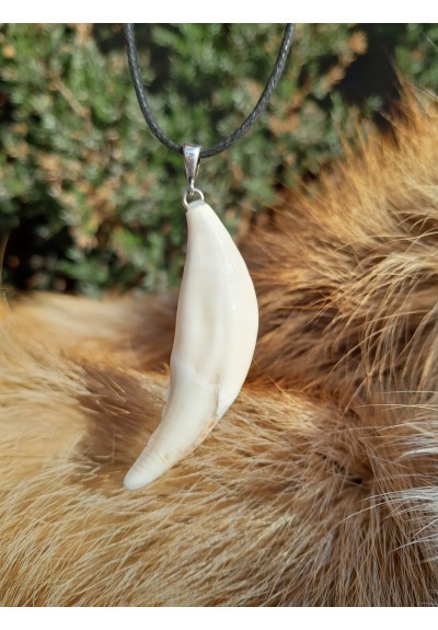 Large wolf tooth amulet.