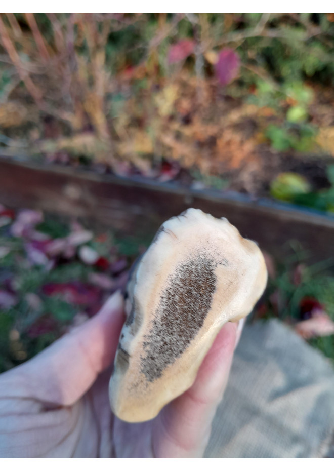 Handmade Neolithic ritual knife with flint blade (modern reconstruction). 